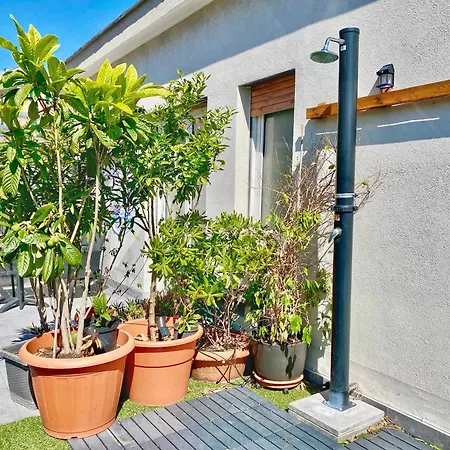 Apartment Terrazza Su - 300sqm Rooftop Penthouse W Sea & Views - Close To Aquarium